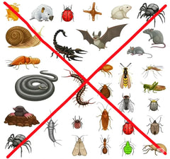 Urja Enterprise PVC Pipe Fittings – High-Strength Leak-Proof Plumbing Joints for Water Supply, Drainage & Tank Connections – Durable